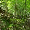 Tour 9: NP-Jasmund
